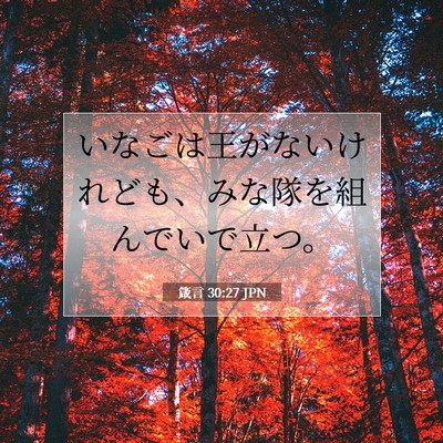 Picture 07 - 箴言 30:27 JPN - いなごは王がないけれども、みな隊 - Bible Verse Picture