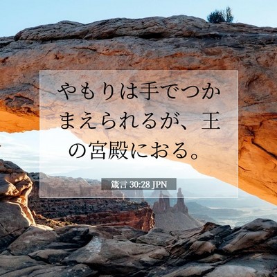 Picture 07 - 箴言 30:28 JPN - やもりは手でつかまえられるが、王 - Bible Verse Picture