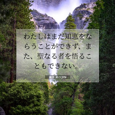 Picture 07 - 箴言 30:3 JPN - わたしはまだ知恵をならうことがで - Bible Verse Picture