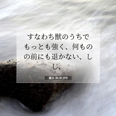 Picture 07 - 箴言 30:30 JPN - すなわち獣のうちでもっとも強く、 - Bible Verse Picture