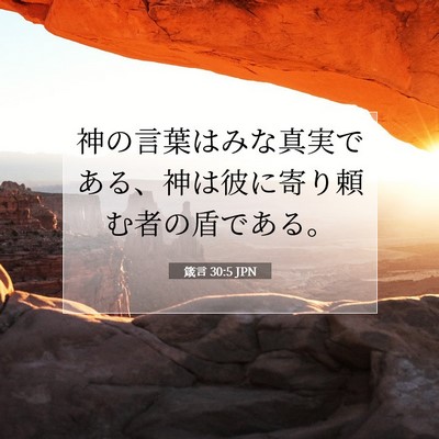 Picture 07 - 箴言 30:5 JPN - 神の言葉はみな真実である、神は彼 - Bible Verse Picture