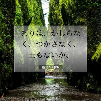 Picture 07 - 箴言 6:7 JPN - ありは、かしらなく、つかさなく、 - Bible Verse Picture