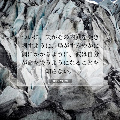 Picture 07 - 箴言 7:23 JPN - ついに、矢がその内臓を突き刺すよ - Bible Verse Picture