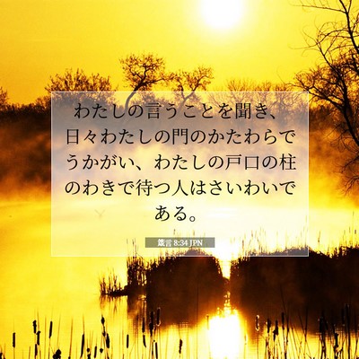Picture 07 - 箴言 8:34 JPN - わたしの言うことを聞き、日々わた - Bible Verse Picture