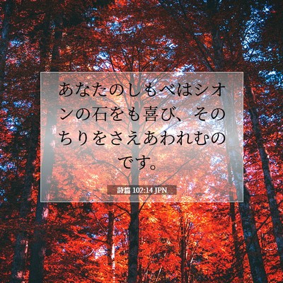 Picture 07 - 詩篇 102:14 JPN - あなたのしもべはシオンの石をも喜 - Bible Verse Picture