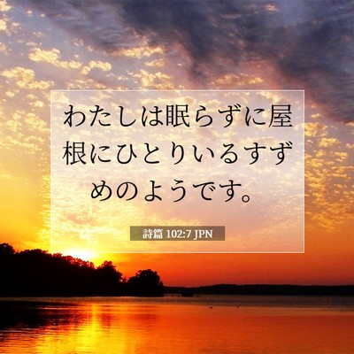 Picture 07 - 詩篇 102:7 JPN - わたしは眠らずに屋根にひとりいる - Bible Verse Picture