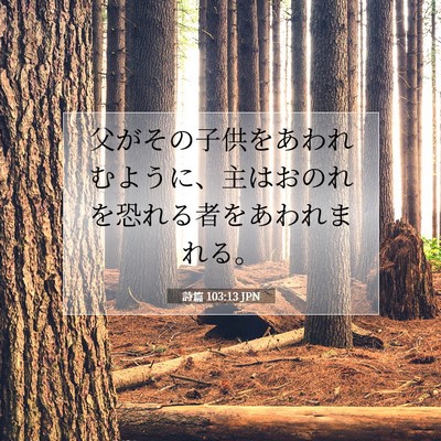 Picture 07 - 詩篇 103:13 JPN - 父がその子供をあわれむように、主 - Bible Verse Picture