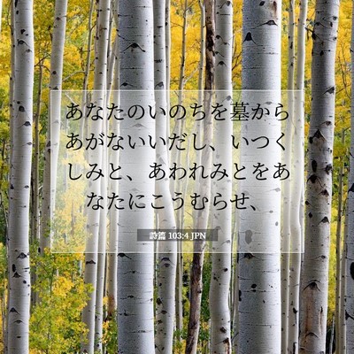 Picture 07 - 詩篇 103:4 JPN - あなたのいのちを墓からあがないい - Bible Verse Picture