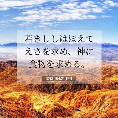 Picture 07 - 詩篇 104:21 JPN - 若きししはほえてえさを求め、神に - Bible Verse Picture