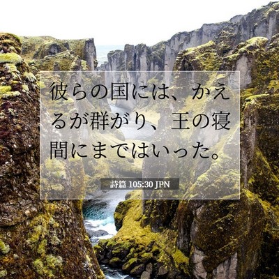 Picture 07 - 詩篇 105:30 JPN - 彼らの国には、かえるが群がり、王 - Bible Verse Picture