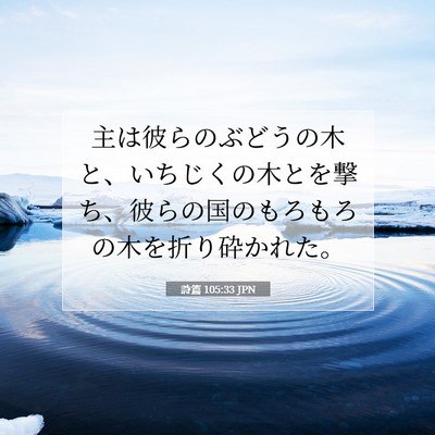 Picture 07 - 詩篇 105:33 JPN - 主は彼らのぶどうの木と、いちじく - Bible Verse Picture