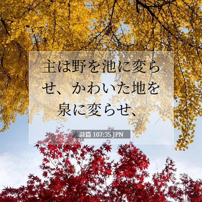 Picture 07 - 詩篇 107:35 JPN - 主は野を池に変らせ、かわいた地を - Bible Verse Picture