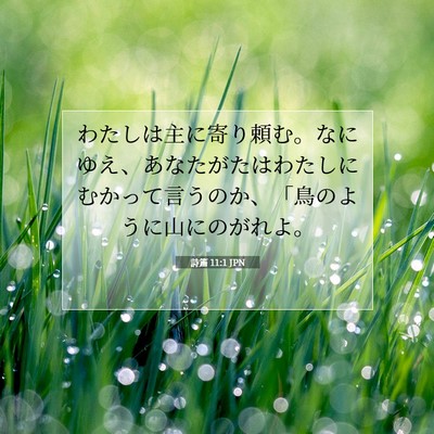 Picture 07 - 詩篇 11:1 JPN - わたしは主に寄り頼む。なにゆえ、 - Bible Verse Picture