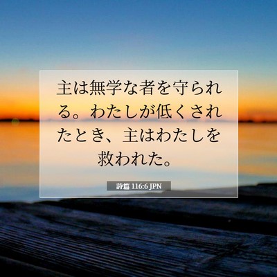 Picture 07 - 詩篇 116:6 JPN - 主は無学な者を守られる。わたしが - Bible Verse Picture