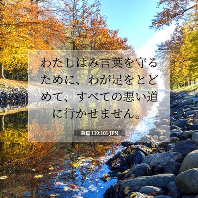 Picture 07 - 詩篇 119:101 JPN - わたしはみ言葉を守るために、わが - Bible Verse Picture
