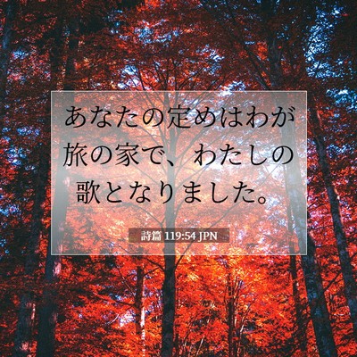 Picture 07 - 詩篇 119:54 JPN - あなたの定めはわが旅の家で、わた - Bible Verse Picture