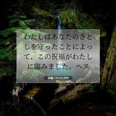 Picture 07 - 詩篇 119:56 JPN - わたしはあなたのさとしを守ったこ - Bible Verse Picture