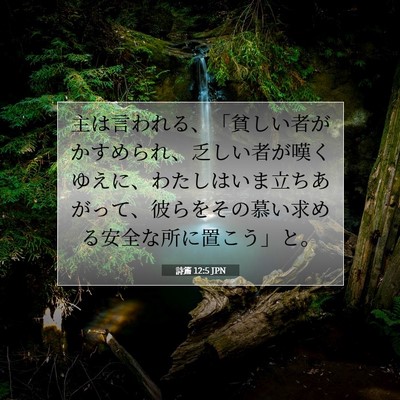 Picture 07 - 詩篇 12:5 JPN - 主は言われる、「貧しい者がかすめ - Bible Verse Picture