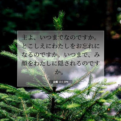 Picture 07 - 詩篇 13:1 JPN - 主よ、いつまでなのですか。とこし - Bible Verse Picture