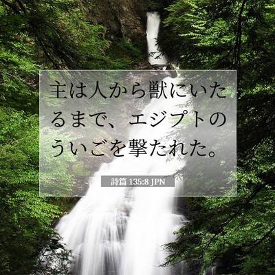 Picture 07 - 詩篇 135:8 JPN - 主は人から獣にいたるまで、エジプ - Bible Verse Picture
