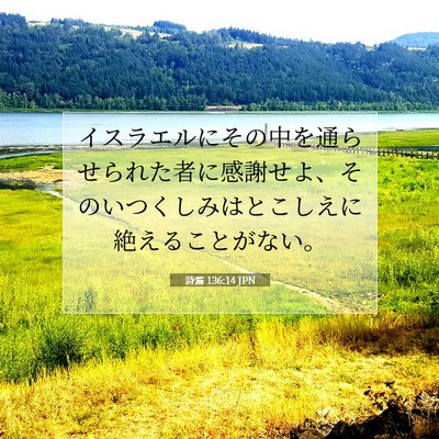 Picture 07 - 詩篇 136:14 JPN - イスラエルにその中を通らせられた - Bible Verse Picture