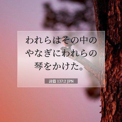 Picture 07 - 詩篇 137:2 JPN - われらはその中のやなぎにわれらの - Bible Verse Picture