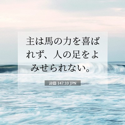 Picture 07 - 詩篇 147:10 JPN - 主は馬の力を喜ばれず、人の足をよ - Bible Verse Picture