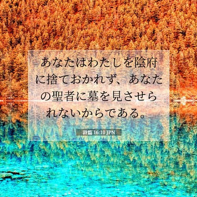 Picture 07 - 詩篇 16:10 JPN - あなたはわたしを陰府に捨ておかれ - Bible Verse Picture