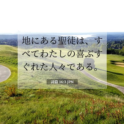 Picture 07 - 詩篇 16:3 JPN - 地にある聖徒は、すべてわたしの喜 - Bible Verse Picture