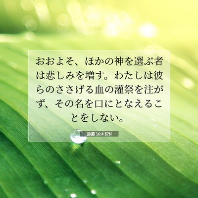Picture 07 - 詩篇 16:4 JPN - おおよそ、ほかの神を選ぶ者は悲し - Bible Verse Picture