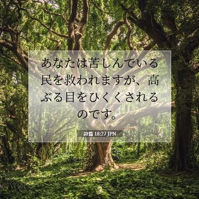 Picture 07 - 詩篇 18:27 JPN - あなたは苦しんでいる民を救われま - Bible Verse Picture