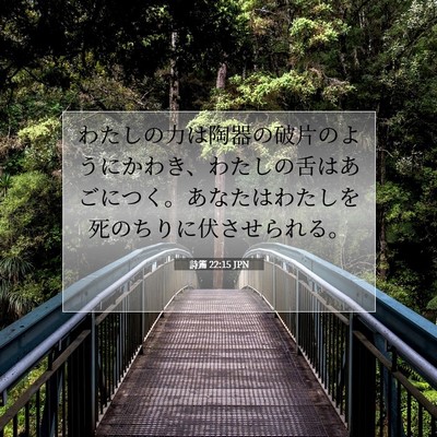 Picture 07 - 詩篇 22:15 JPN - わたしの力は陶器の破片のようにか - Bible Verse Picture