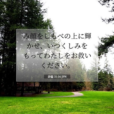 Picture 07 - 詩篇 31:16 JPN - み顔をしもべの上に輝かせ、いつく - Bible Verse Picture