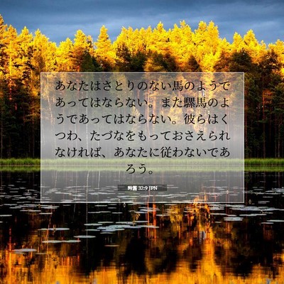 Picture 07 - 詩篇 32:9 JPN - あなたはさとりのない馬のようであ - Bible Verse Picture