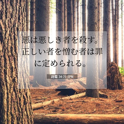 Picture 07 - 詩篇 34:21 JPN - 悪は悪しき者を殺す。正しい者を憎 - Bible Verse Picture