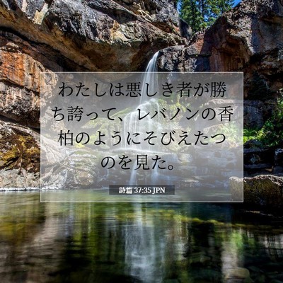 Picture 07 - 詩篇 37:35 JPN - わたしは悪しき者が勝ち誇って、レ - Bible Verse Picture