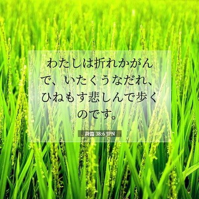 Picture 07 - 詩篇 38:6 JPN - わたしは折れかがんで、いたくうな - Bible Verse Picture