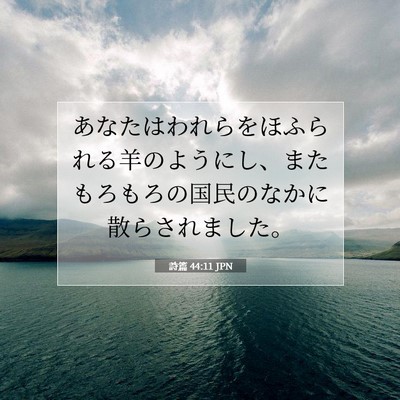 Picture 07 - 詩篇 44:11 JPN - あなたはわれらをほふられる羊のよ - Bible Verse Picture