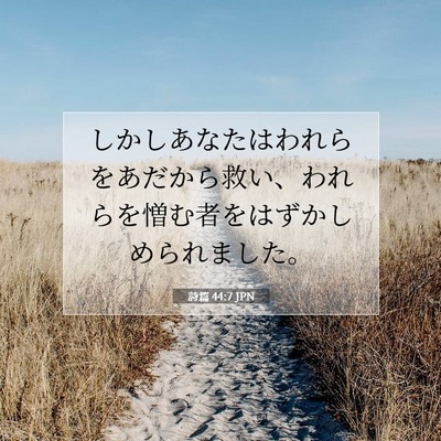 Picture 07 - 詩篇 44:7 JPN - しかしあなたはわれらをあだから救 - Bible Verse Picture