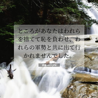 Picture 07 - 詩篇 44:9 JPN - ところがあなたはわれらを捨てて恥 - Bible Verse Picture