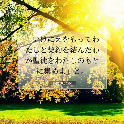 Picture 07 - 詩篇 50:5 JPN - 「いけにえをもってわたしと契約を - Bible Verse Picture