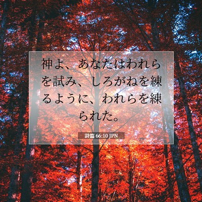 Picture 07 - 詩篇 66:10 JPN - 神よ、あなたはわれらを試み、しろ - Bible Verse Picture