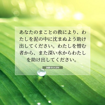 Picture 07 - 詩篇 69:14 JPN - あなたのまことの救により、わたし - Bible Verse Picture