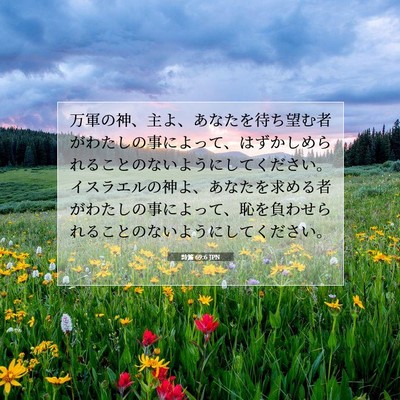 Picture 07 - 詩篇 69:6 JPN - 万軍の神、主よ、あなたを待ち望む - Bible Verse Picture