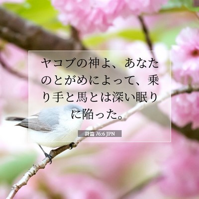 Picture 07 - 詩篇 76:6 JPN - ヤコブの神よ、あなたのとがめによ - Bible Verse Picture