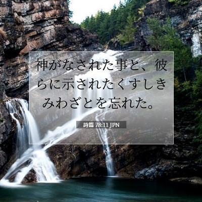 Picture 07 - 詩篇 78:11 JPN - 神がなされた事と、彼らに示された - Bible Verse Picture