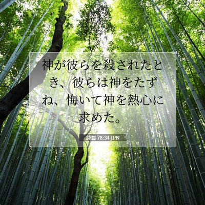 Picture 07 - 詩篇 78:34 JPN - 神が彼らを殺されたとき、彼らは神 - Bible Verse Picture