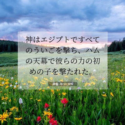 Picture 07 - 詩篇 78:51 JPN - 神はエジプトですべてのういごを撃 - Bible Verse Picture
