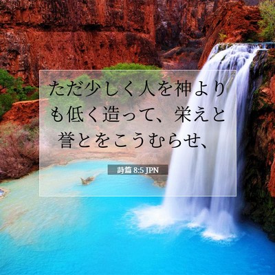 Picture 07 - 詩篇 8:5 JPN - ただ少しく人を神よりも低く造って - Bible Verse Picture