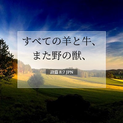 Picture 07 - 詩篇 8:7 JPN - すべての羊と牛、また野の獣、 - Bible Verse Picture